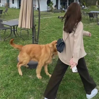 奥黛丽
